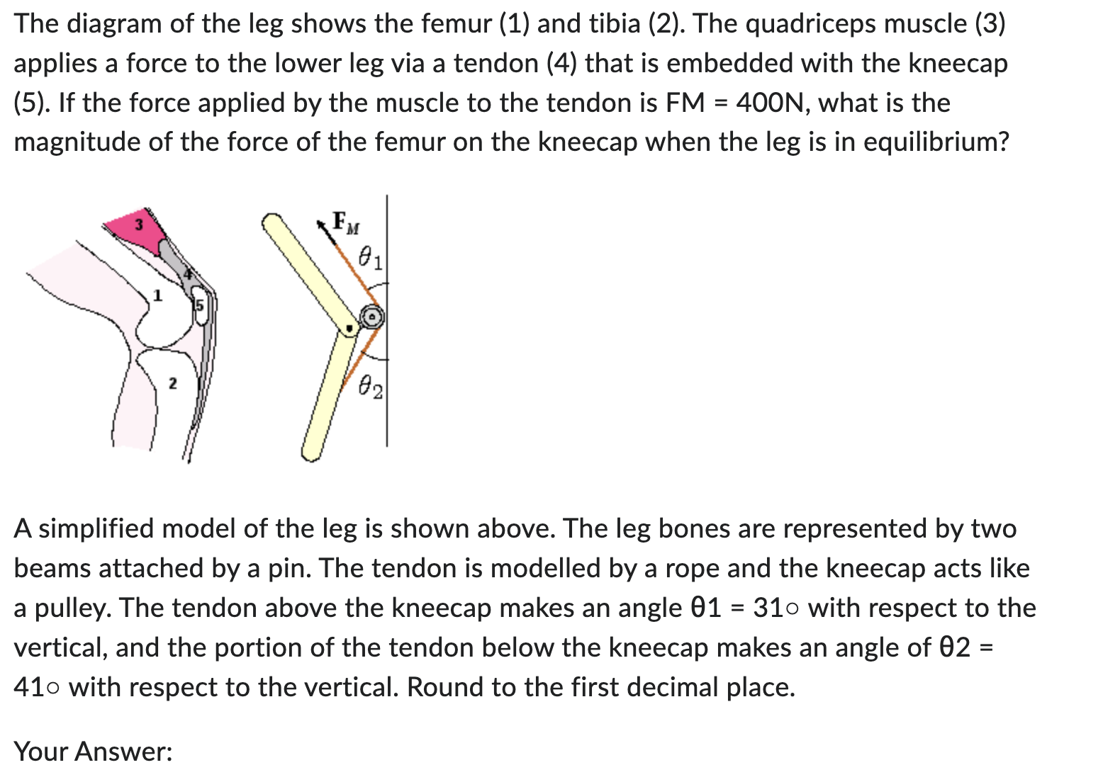 Solved The diagram of the leg shows the femur (1) and tibia | Chegg.com