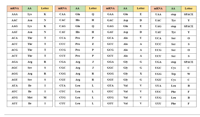 mRNA AA Letter mRNA AA Letter mRNA AA Letter mRNA AA | Chegg.com
