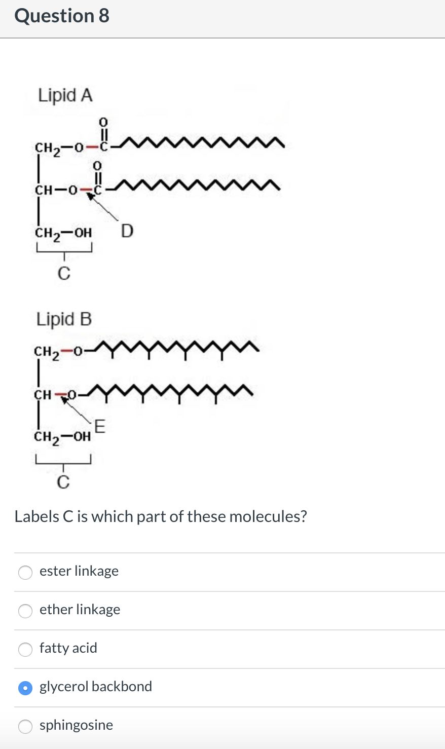 Solved Question 1 OH Which of the following best describes | Chegg.com