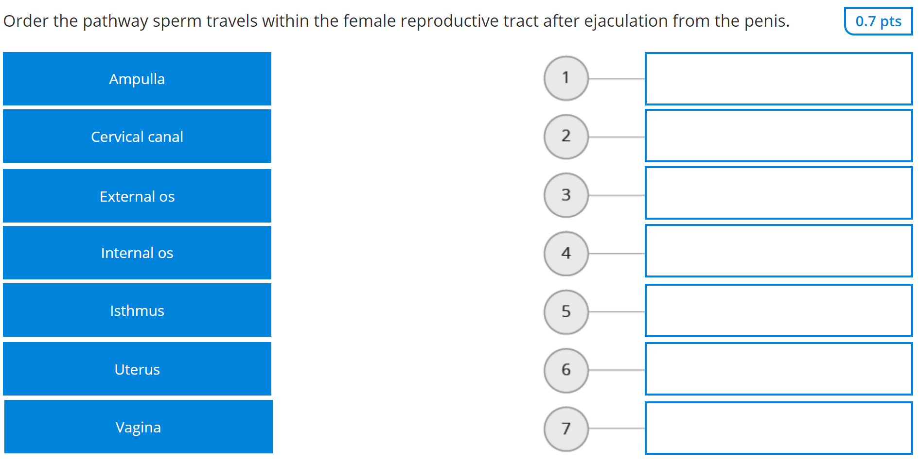 Solved Order the pathway sperm travels within the female