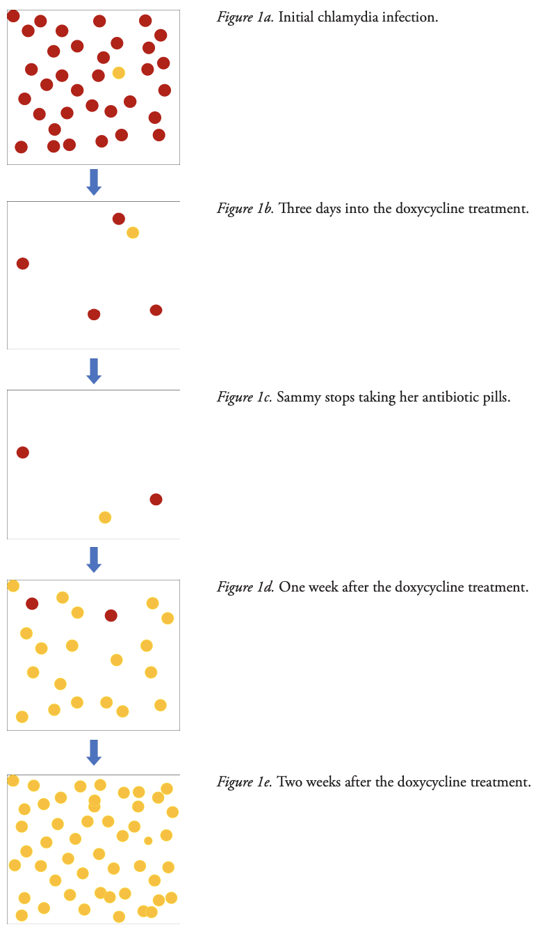 national center for case study teaching in science antibiotic resistance answers