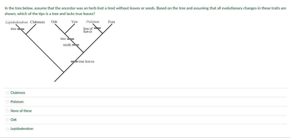 Solved In the tree below, assume that the ancestor was an | Chegg.com