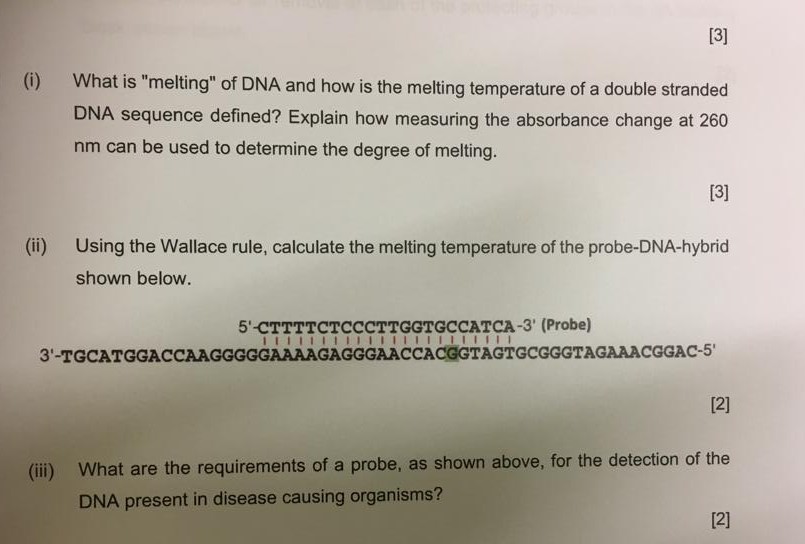 What Is Dna Melting Temperature