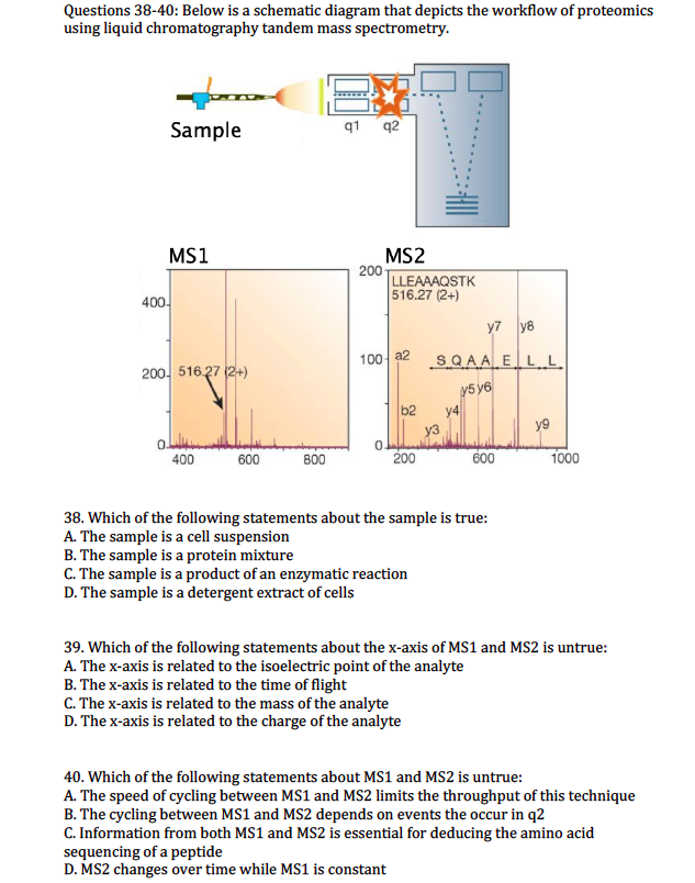 Solved Questions 38-40: Below is a schematic diagram that | Chegg.com