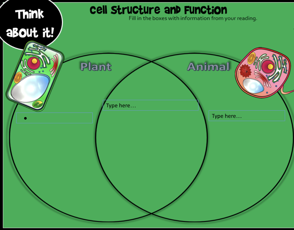 plant cell and animal cell structure and function