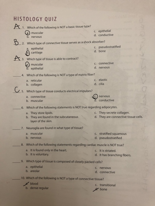 Solved Histology Quiz Which Of The Following Is NOT A Ba...