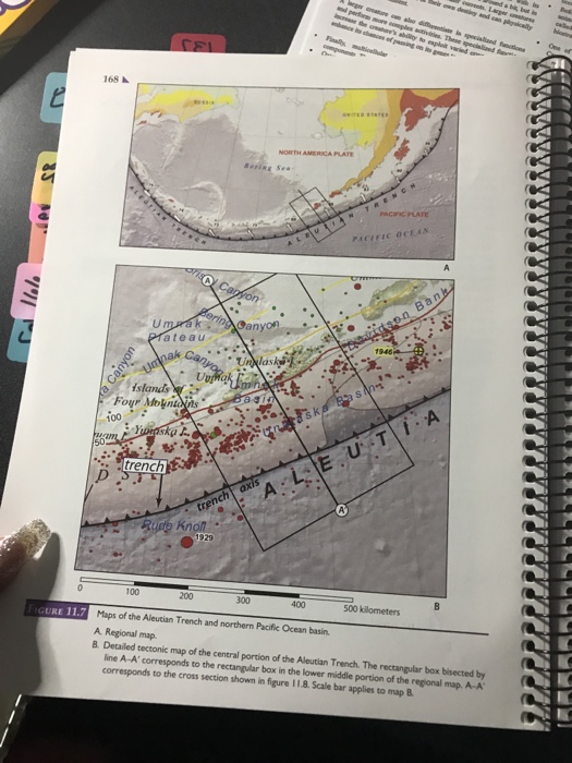 Solved 166A Exercise 11 Continental Drift and Plate