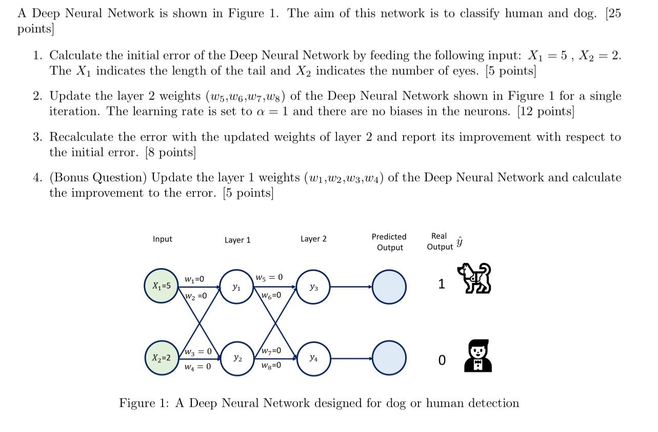 Solved A Deep Neural Network is shown in Figure 1. The aim | Chegg.com