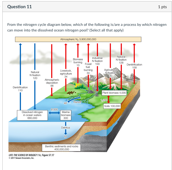 agricultural runoff diagram