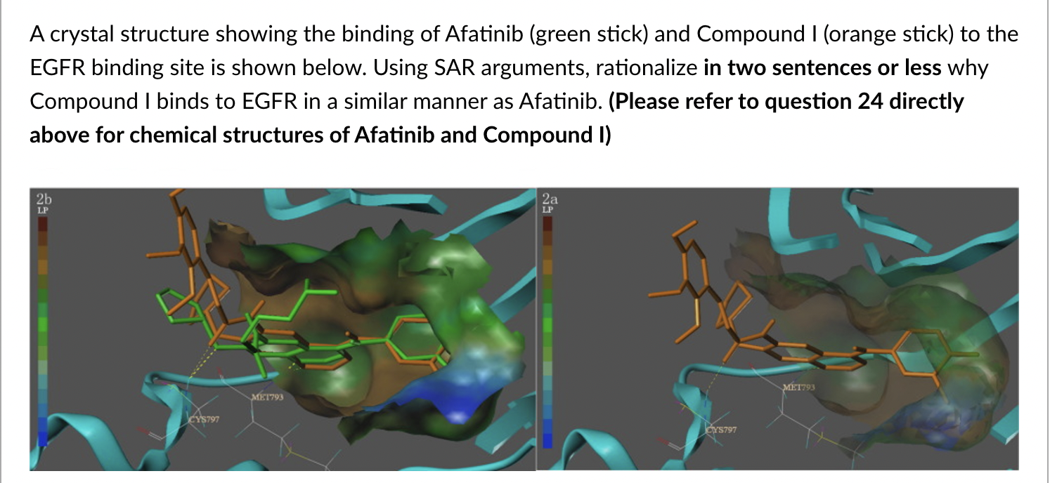 Solved Afatinib A crystal structure showing the binding of | Chegg.com