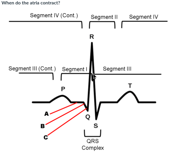 Solved When do the atria contract? Segment I Segment II | Chegg.com