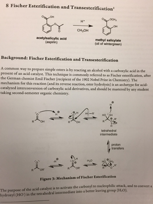 Solved 8 Fischer Esterification and Transesterification ?? | Chegg.com