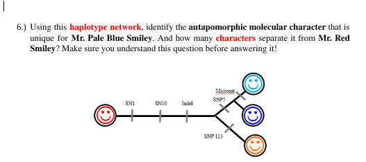 6.) Using this haplotype network, identify the | Chegg.com