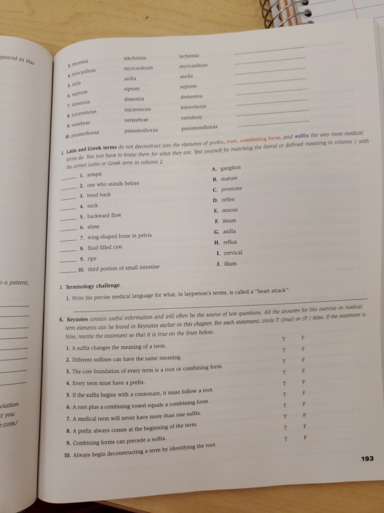 Solved N. Plurals happer Corrected statements Nural | Chegg.com