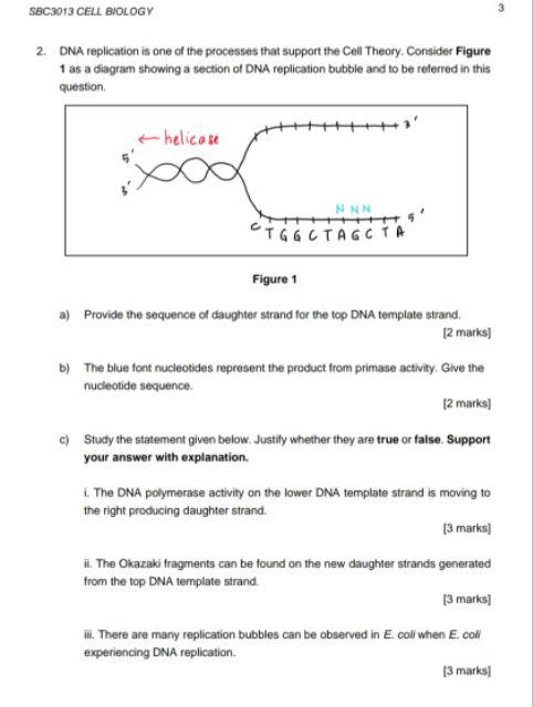 Solved 2. DNA replication is one of the processes that | Chegg.com