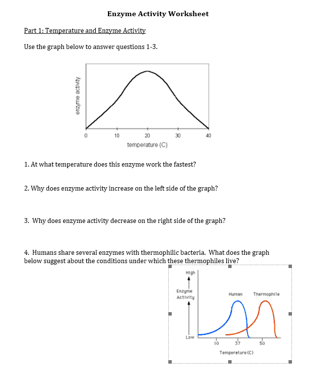 solved-enzyme-activity-worksheet-part-1-temperature-and-chegg