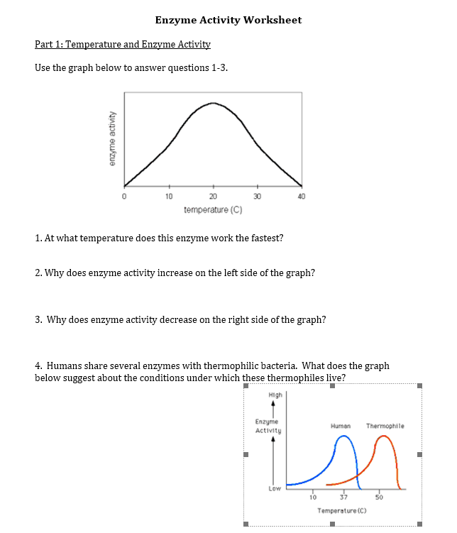 Solved Enzyme Activity Worksheet Part 1 Temperature and