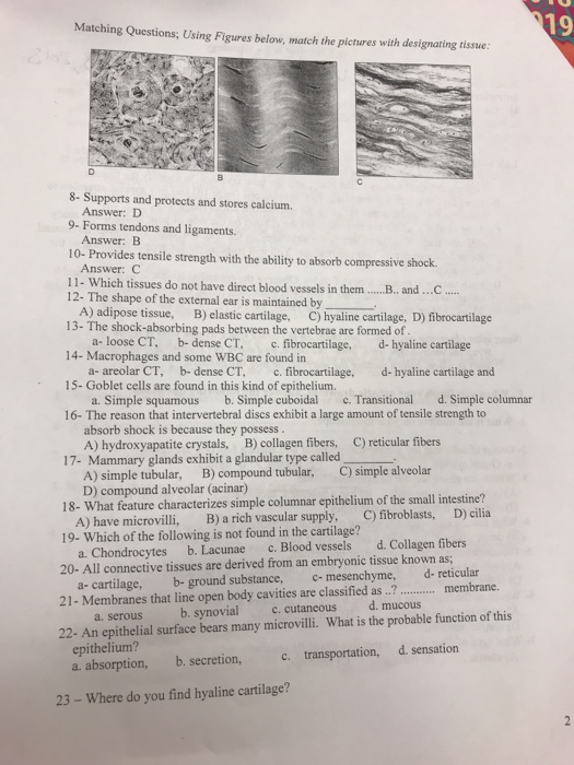 Solved Matching Questions; Using Figures below, match the | Chegg.com