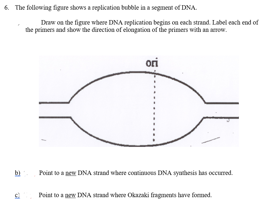 Solved 6. The following figure shows a replication bubble in | Chegg.com
