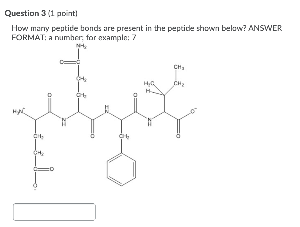 How Many Peptide Bonds Are Present In Pentapeptide