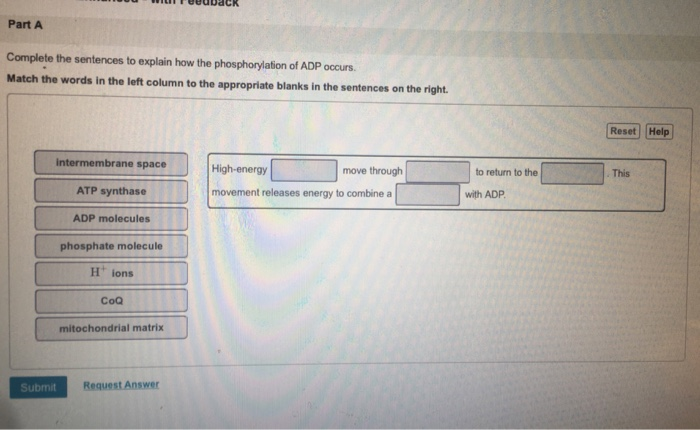 Solved Part A Complete the sentences to explain how the | Chegg.com