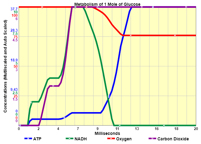 Solved Q1. This graph shows the general activity of the | Chegg.com