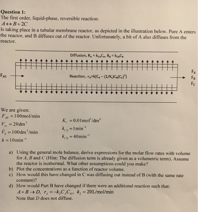 Solved Question 1: The first order, liquid-phase, reversible | Chegg.com