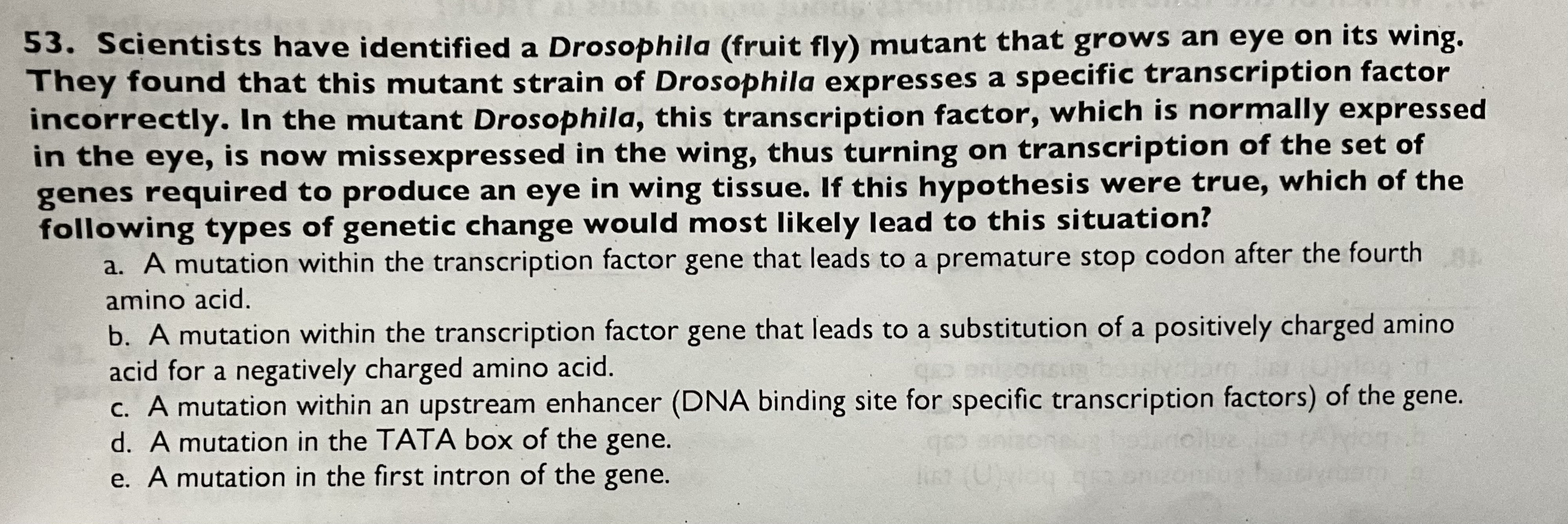 Solved 53. Scientists have identified a Drosophila (fruit | Chegg.com