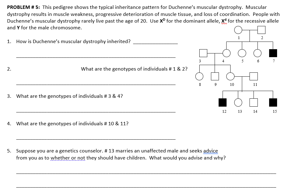 Solved PROBLEM \# 5: This pedigree shows the typical | Chegg.com