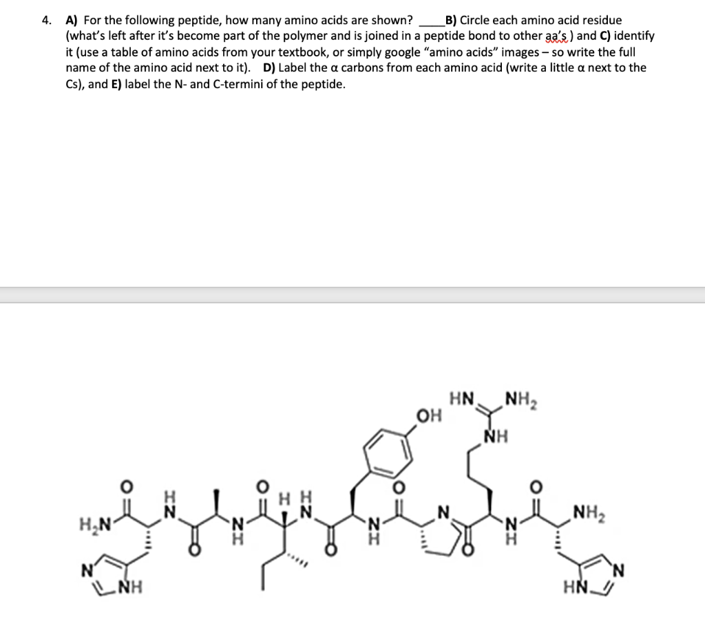 Solved 4. A) For the following peptide, how many amino acids | Chegg.com