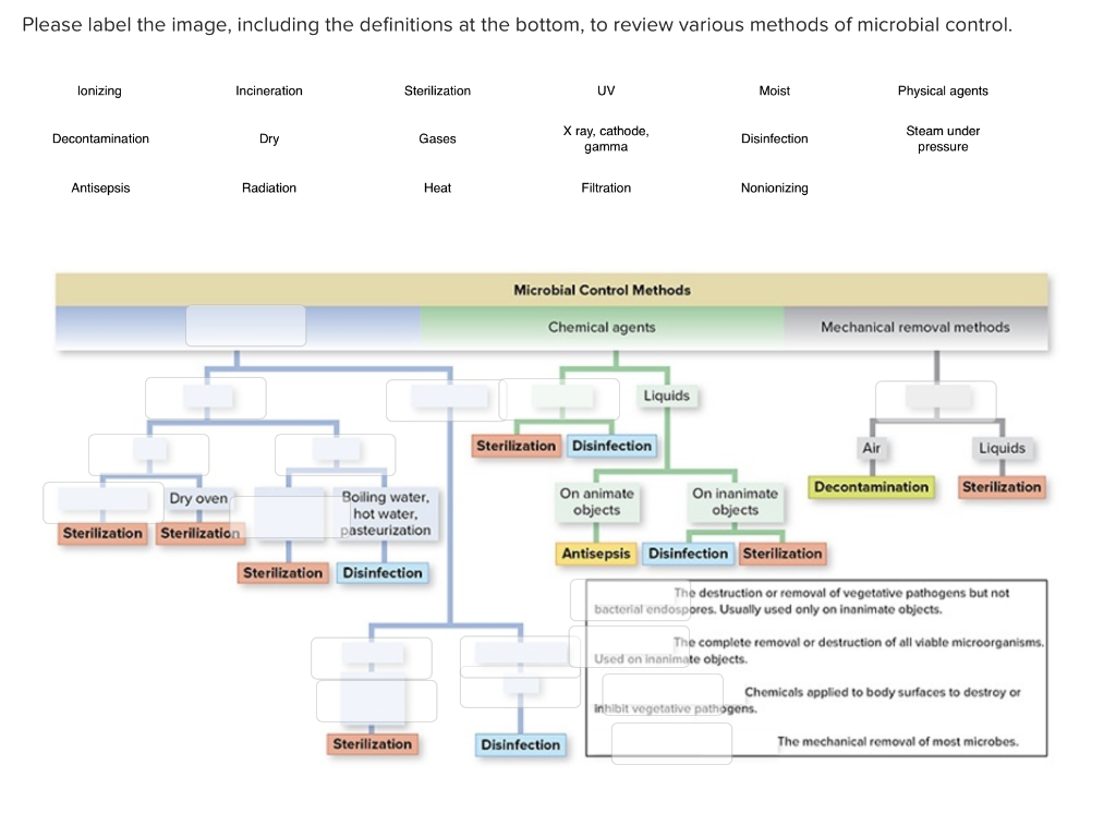 Microbial Control Methods Concept Map Map 4404