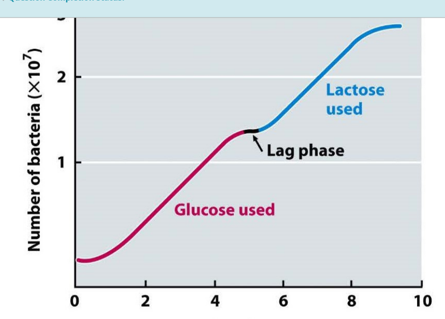 solved-e-coli-was-grown-in-media-containing-glucose-chegg