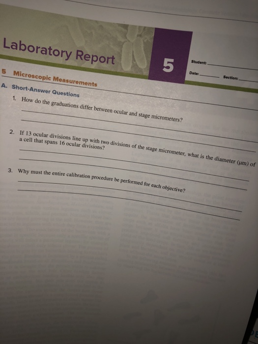 Solved 1 Brightfield Microscopy 1. Describe the position of