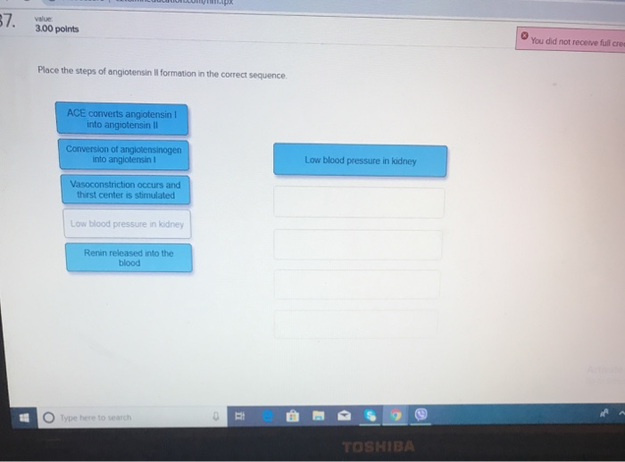 Solved 3 00 Points Classify The Given Terms Or Examples With Chegg Com