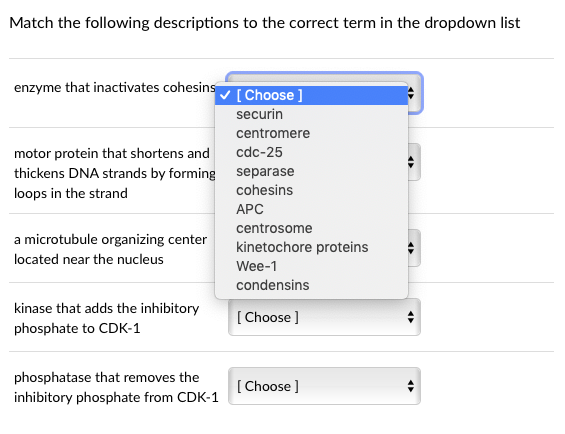 Solved Match the following descriptions to the correct term | Chegg.com