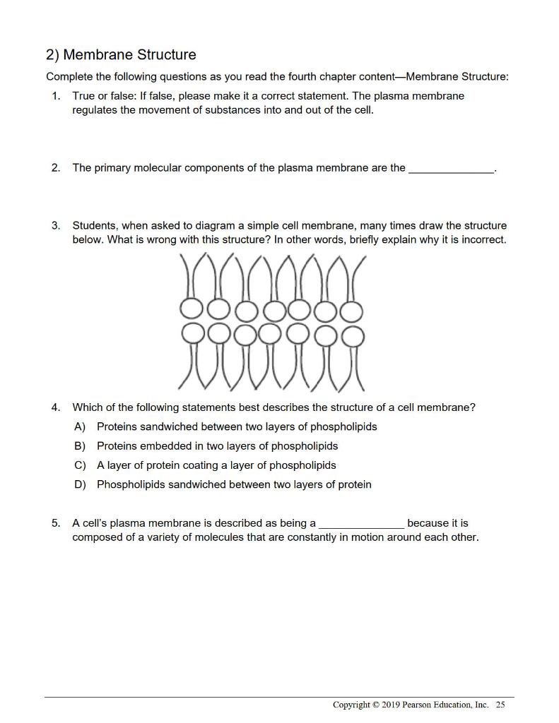 Cell Membrane Questions And Answers Pdf