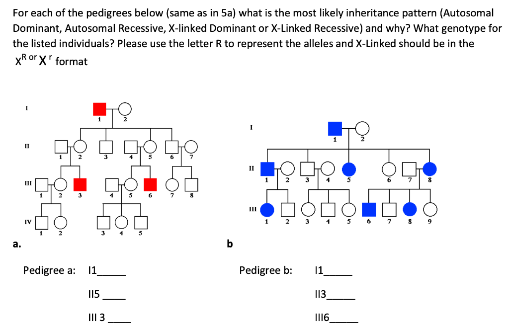 Solved See the Pedigree PDF attached. For each pedigree what | Chegg.com