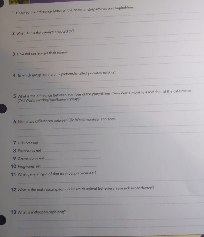 Solved 1 Describe The Difference Between The Noses Of Str