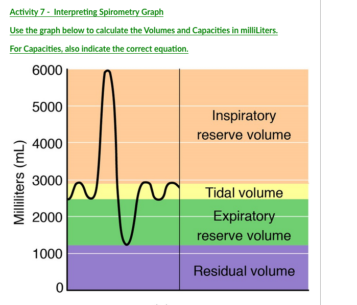 Solved Activity 7 Interpreting Spirometry Graph Use the