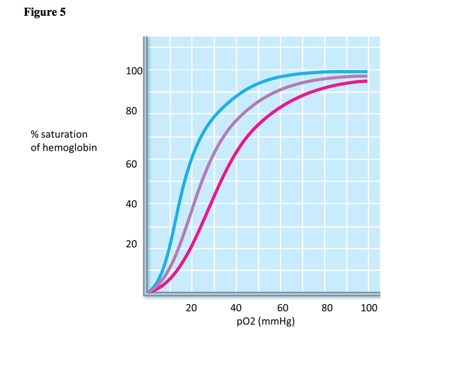 Solved nterpret the graph. Co 40 2.0 40 80 Po2 (mm Ha) in