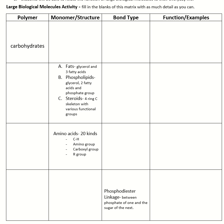 Solved Large Biological Molecules Activity – Fill In The | Chegg.com