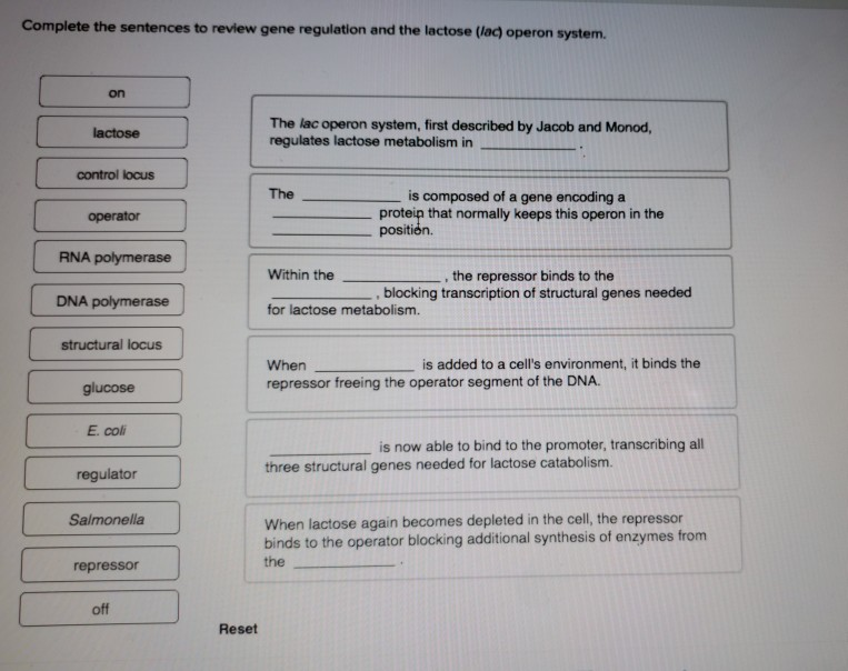 35 Label The Figure To Assess Your Knowledge Of The Lac Operon. - Label