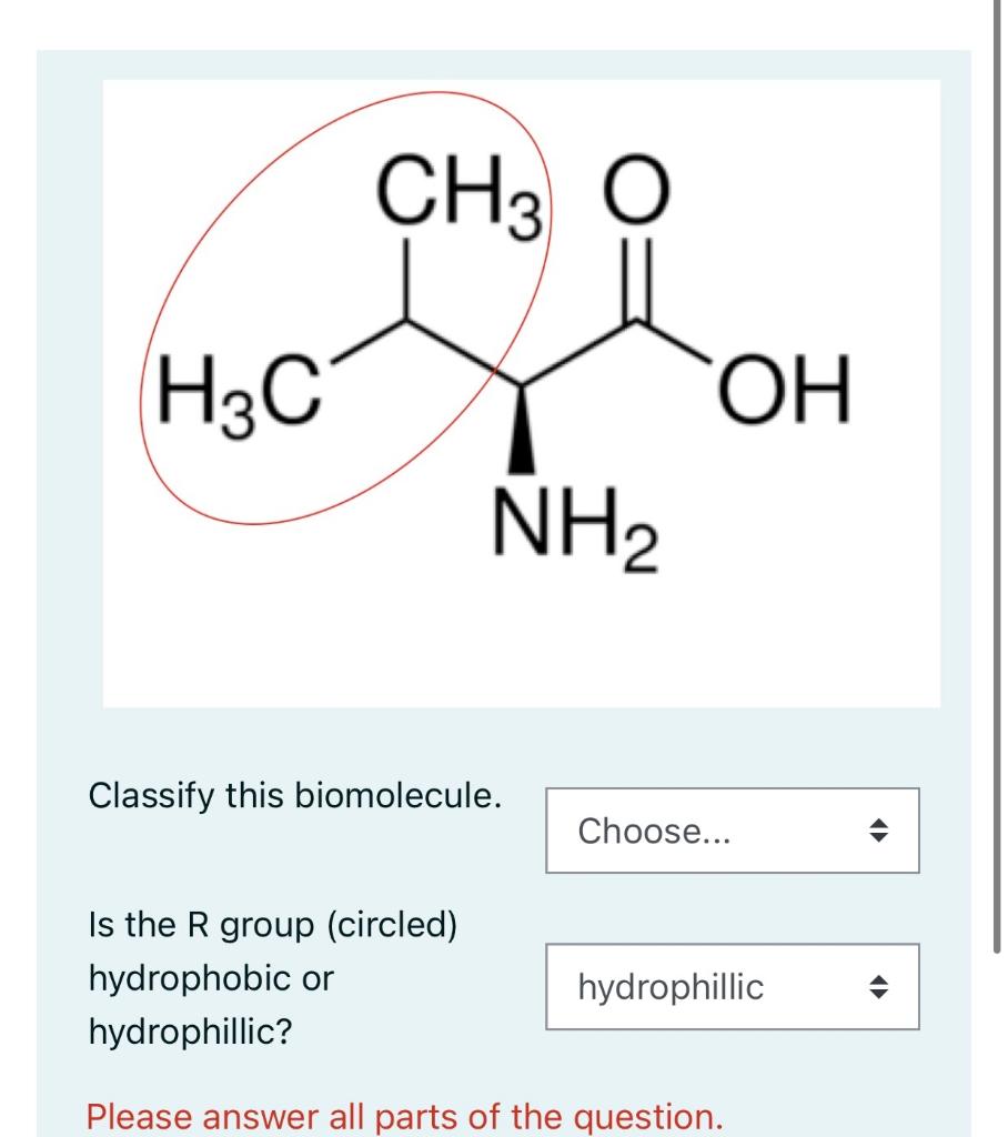 Solved Classify this biomolecule. Is the R group (circled)