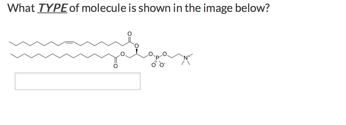 solved-what-type-of-molecule-is-shown-in-the-image-below-chegg