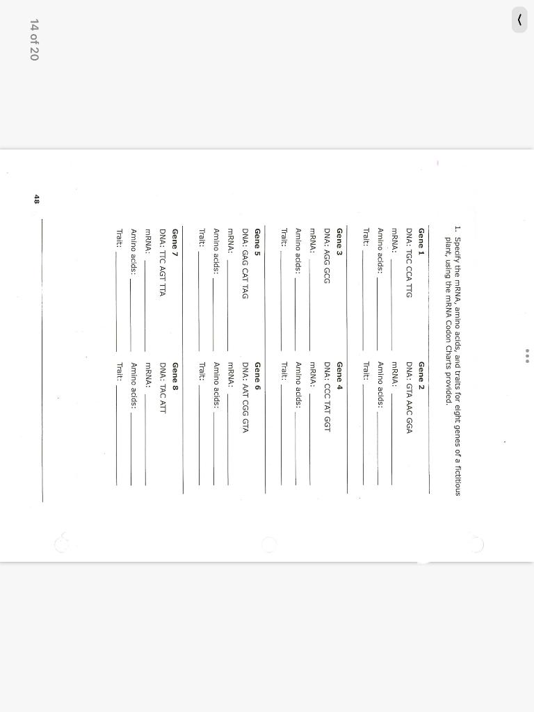 Solved 1. Specify the mRNA, amino acids, and traits for | Chegg.com