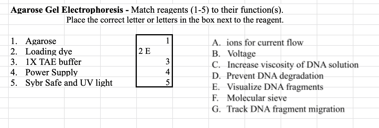 Solved Agarose Gel Electrophoresis - Match reagents (1-5) to | Chegg.com