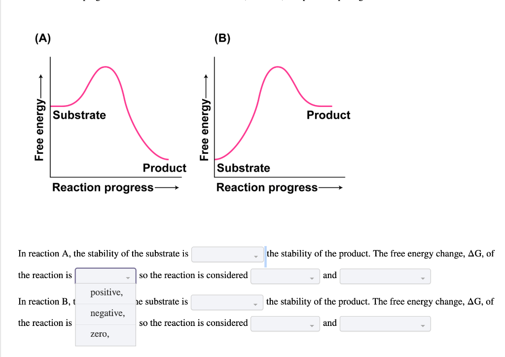 reactions-graphics-video_480.gif.png - The Gain Blog