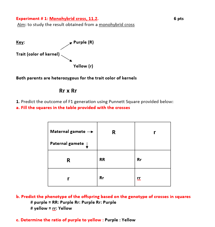 Solved Figure Monohybrid Cross A Count The Number Of Chegg Com