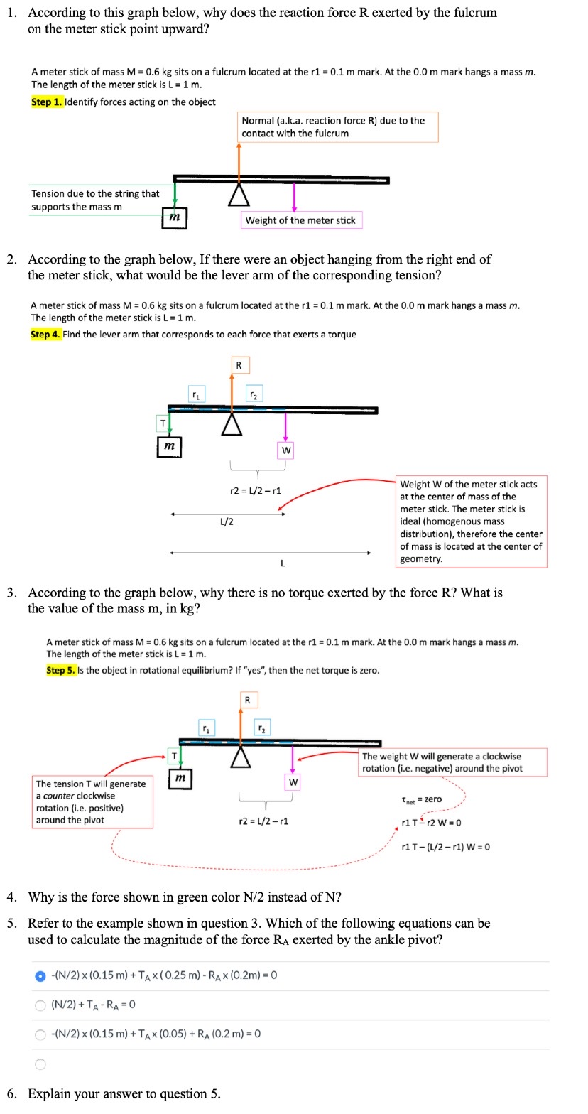 Solved 1 According To This Graph Below Why Does The Chegg Com