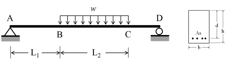 Solved The beam shown in the figure corresponds to the | Chegg.com